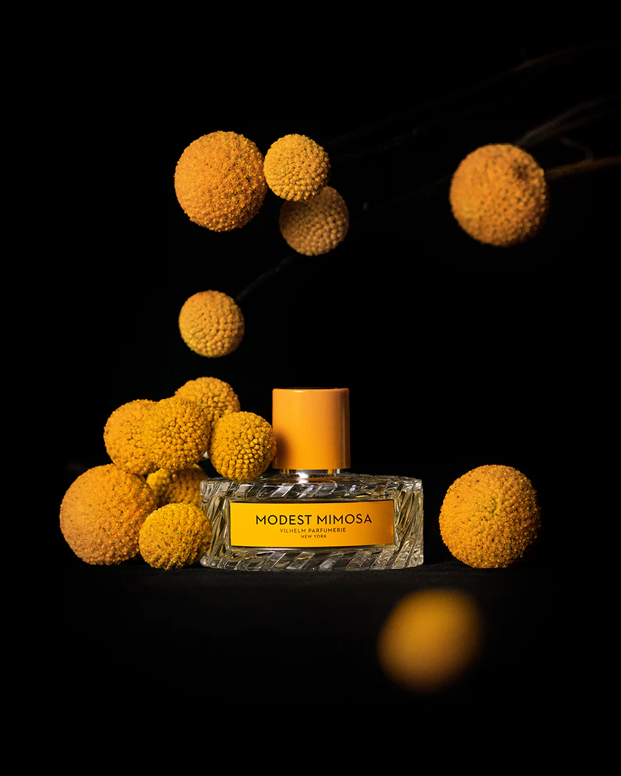 MODEST MIMOSA - Image 3